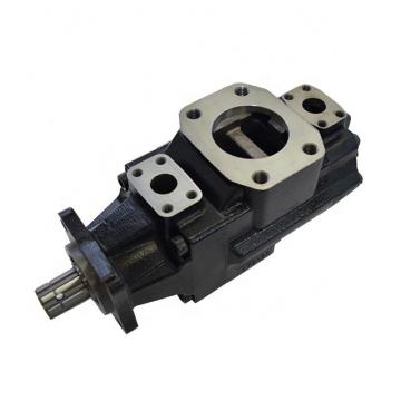 DENISON T6D 028 2R00 B1 vane pump